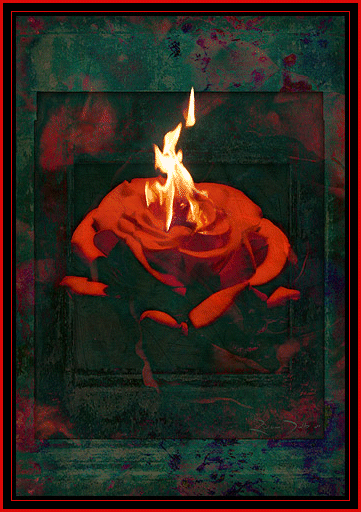 Dare to touch the flame...